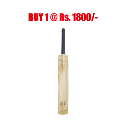 Plain Bat - Kashmir Willow